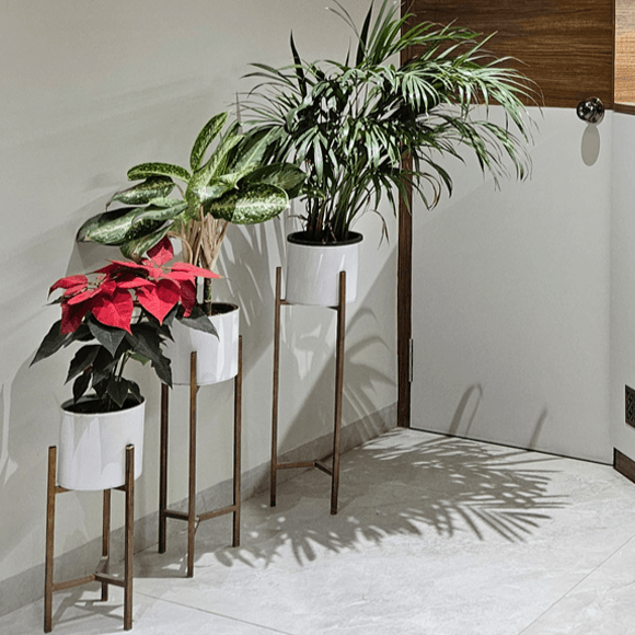 Interior Design Project